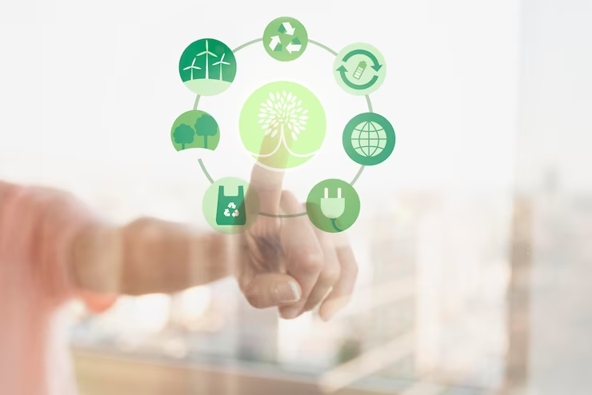 econom�a circular